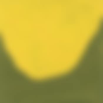 Irregular form (preview)