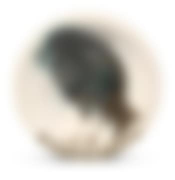 Oiseau Au Ver (A. R. 172) (preview)