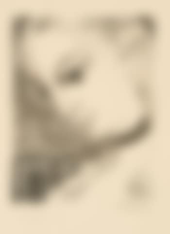 Anne de profil (preview)