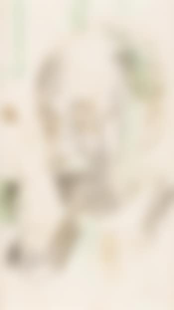 Portrait, thought to be of Dr. T.J. Honeyman (preview)