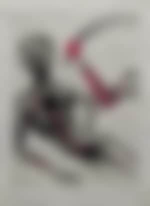 Le Torse (preview)