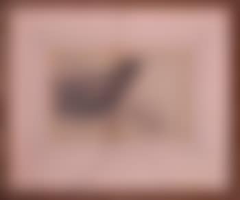 Study of a raven (preview)
