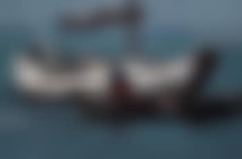 Morning fog (preview)