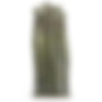Untitled (Plant Form), Pennsylvania (preview)