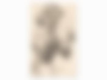 Woman with Flowerpot (preview)