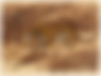 Tigre (preview)