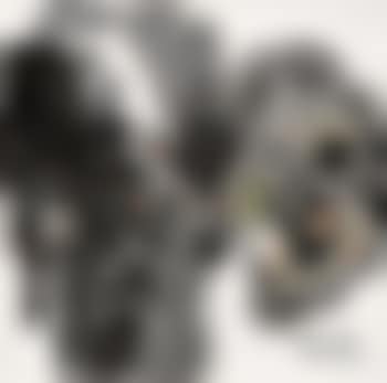 Landscape (preview)