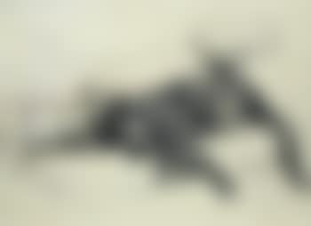 Mickey and Cracker, study of two dogs asleep on a sofa (preview)