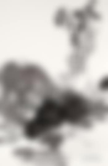 Untitled (preview)