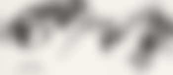 Composition 2 (Dragon) (preview)