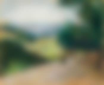 Landscape in the Thuringian Forest (preview)