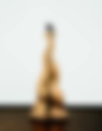 Bird on a Column (preview)