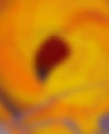 In a Spin, the action of the World on things (preview)