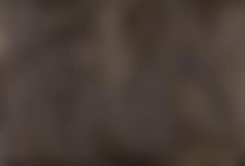 Inpainting (Brown) (preview)