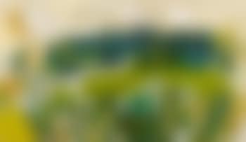 Oberschwäbische Landschaft (preview)