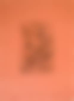 [Untitled] (preview)
