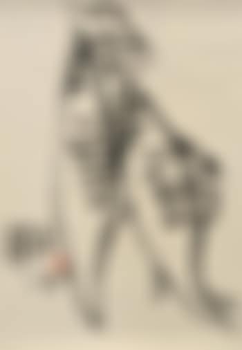 Fish (preview)