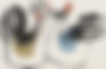 Prosperity of Chicken (preview)
