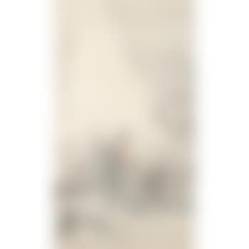 Seeking Plum Blossoms (preview)