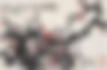 Plum blossom (preview)