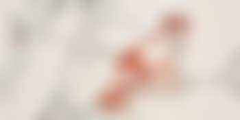 Cat (preview)