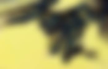 The Song of Autumn (preview)
