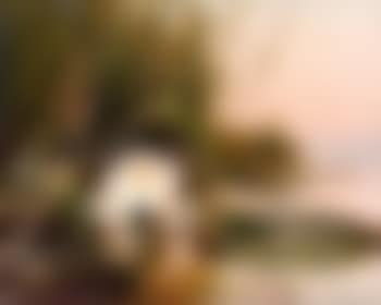 Water lily (preview)