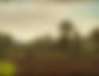 The Sower (preview)