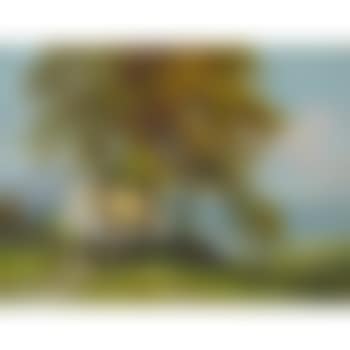 A lakeside cottage, Ireland (preview)