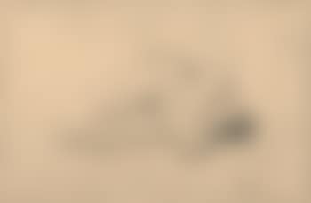 Akt (Nude) (preview)