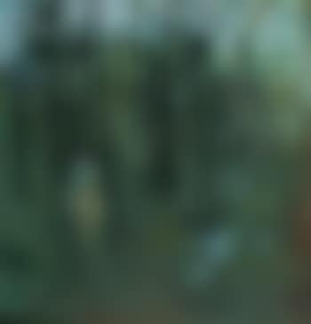Figures and Lovers in Pine Forest (preview)
