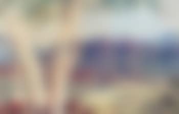 Untitled (Alice Springs) (preview)