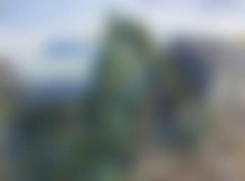 Tweed Valley Rainforest Ridge and Beechmont (preview)