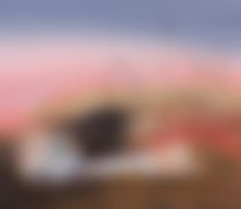 Bride in a Pink Landscape (preview)