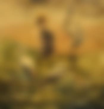 Les flamants roses (preview)