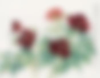 Peony (preview)