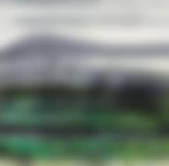 Lotus Pond (preview)