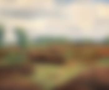 Moorstich (preview)