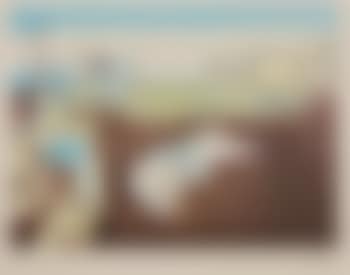 Persistence of Memory (preview)