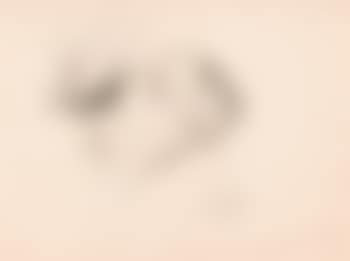 Artist's mother (preview)