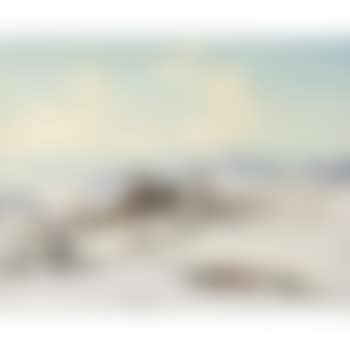 Sonniger Wintertag im Kandelgebiet (sunny winter’s day at Kandelgebiet) (preview)