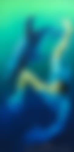 Boy and Dolphin (preview)