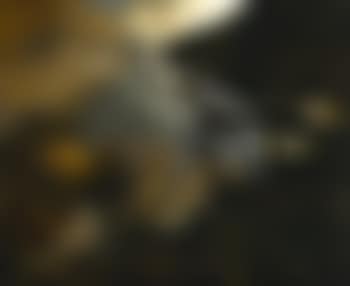 The annunciation to the shepherds (preview)