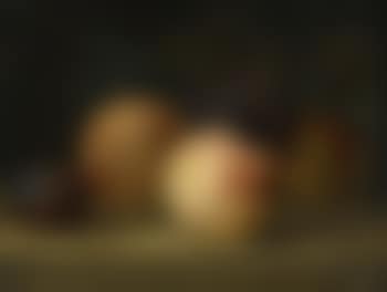 Peaches, a plum, and grapes on a ledge (preview)