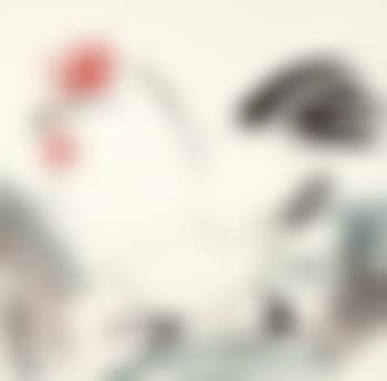 Cock (preview)
