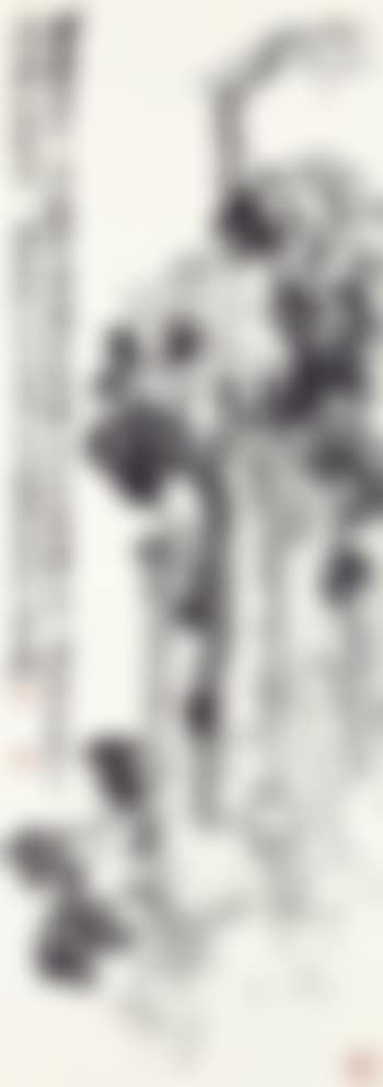 Peonies (preview)