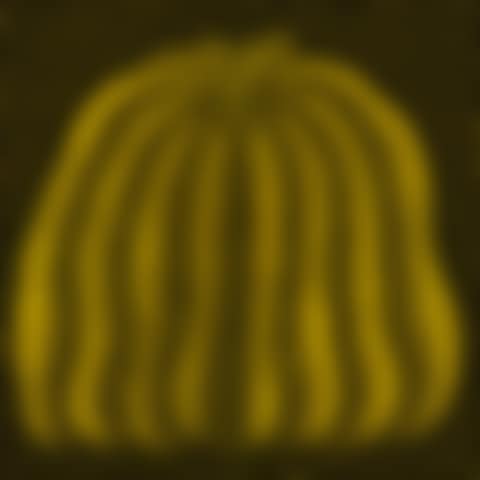 PUMPKIN AA (preview)
