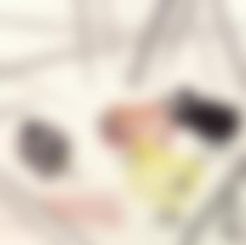Chicks by The Fence (preview)