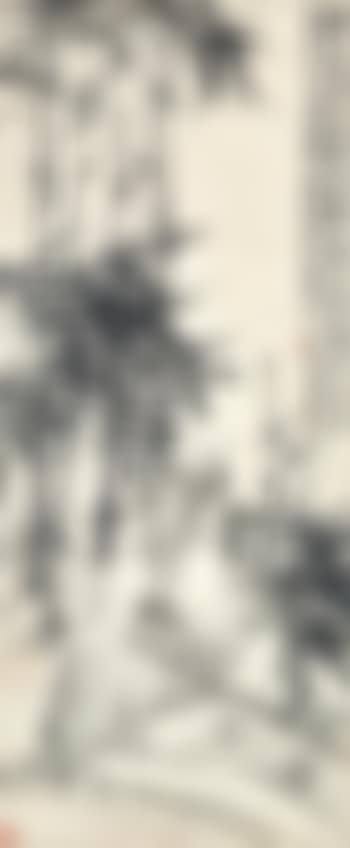 Bamboo and Rock (preview)