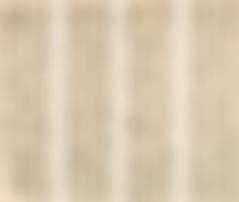 Calligraphy in Caoshu (preview)